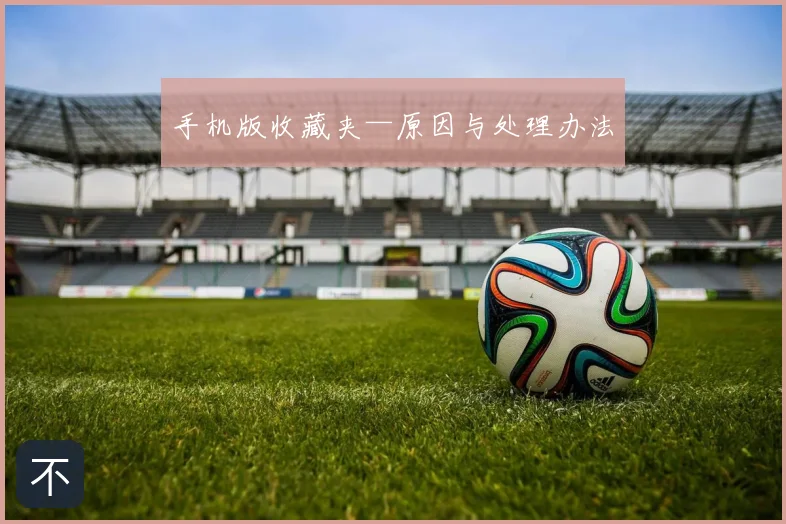 手机版收藏夹—原因与处理办法